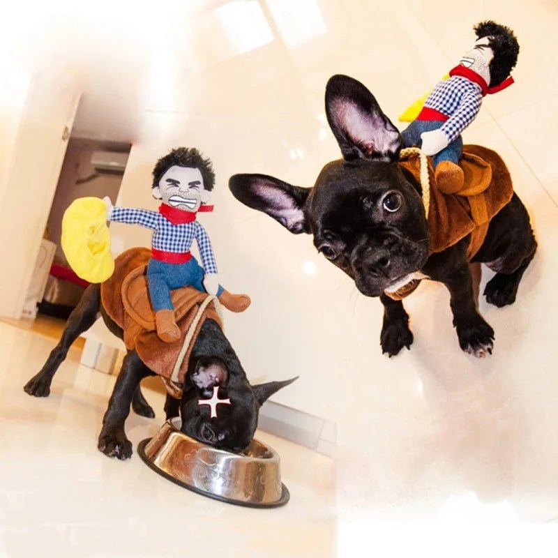 Funny Cowboy Costume for Dogs - Cake Pops Parties
