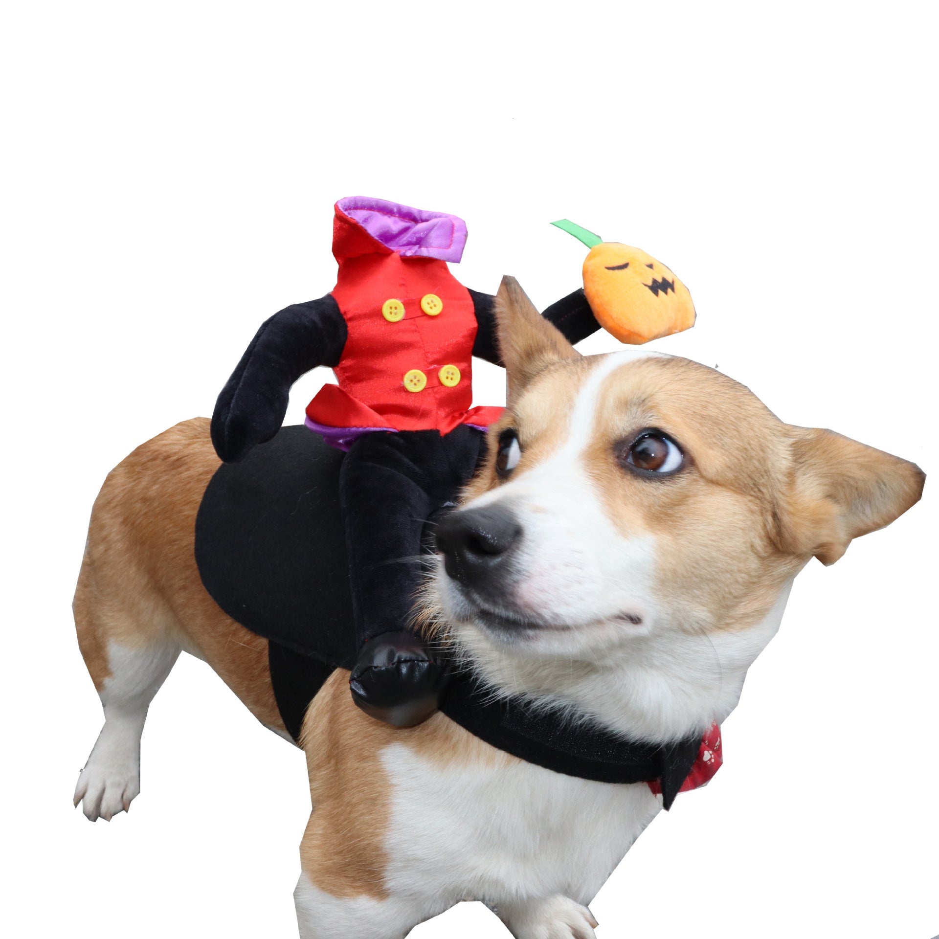 Funny Halloween Dog Costume - Cake Pops Parties