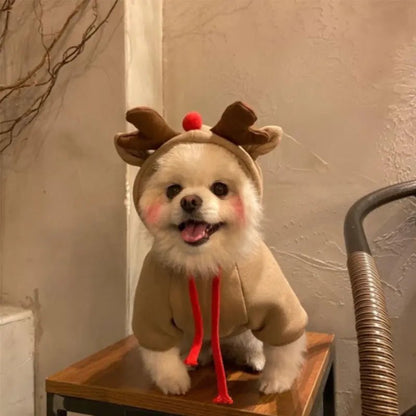 Funny Pet Elk Costume for Small Dogs - Cake Pops Parties