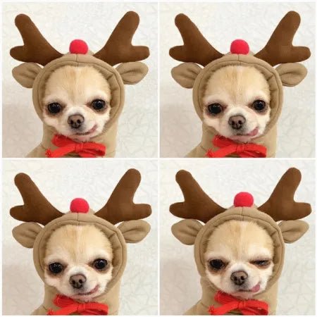 Funny Pet Elk Costume for Small Dogs - Cake Pops Parties