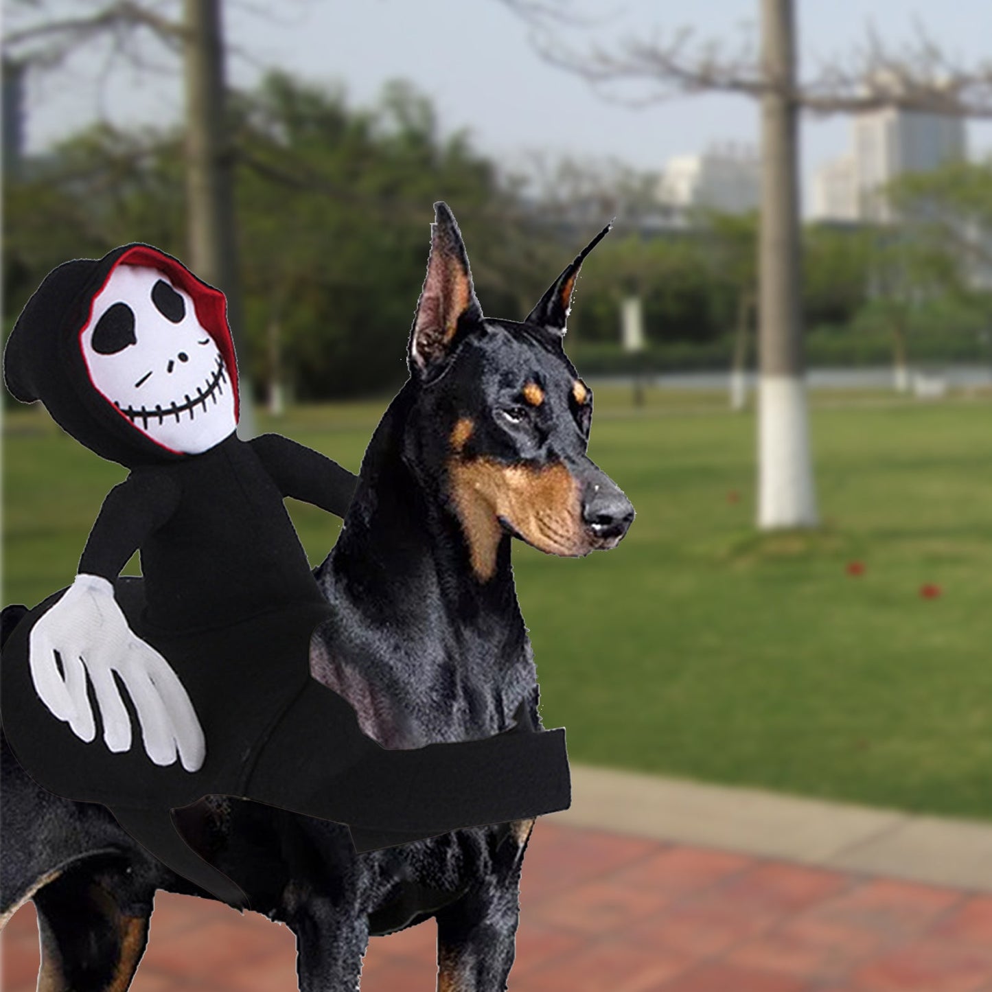 Funny Pet Halloween Cosplay Costume - Cake Pops Parties