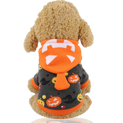 Funny Pumpkin Lamp Pet Costume - Cake Pops Parties