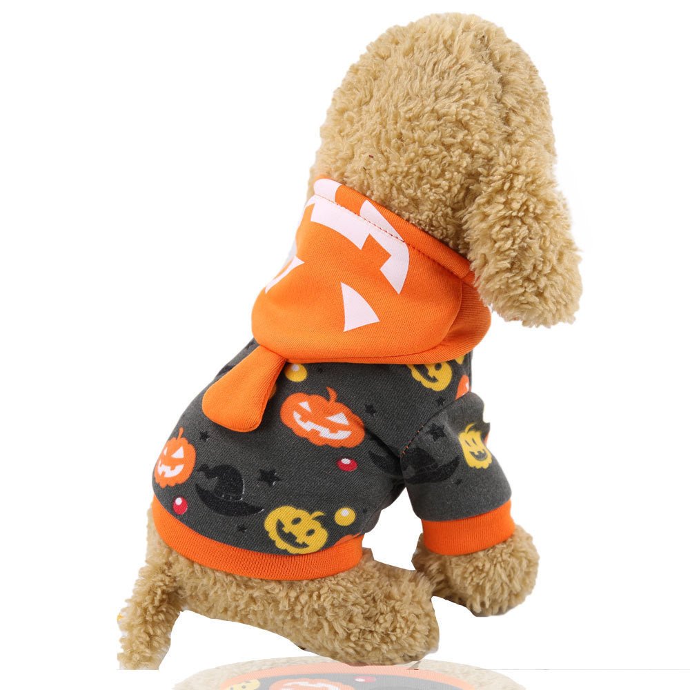 Funny Pumpkin Lamp Pet Costume - Cake Pops Parties