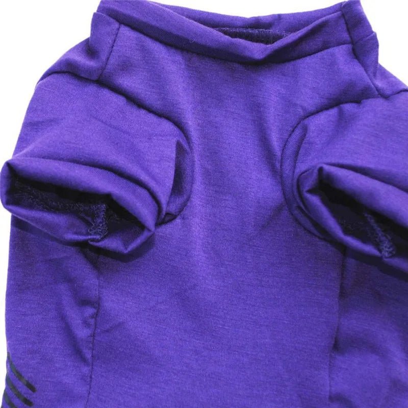 Halloween Dog Spider Web Sleeveless Pet Vest - Cake Pops Parties