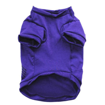 Halloween Dog Spider Web Sleeveless Pet Vest - Cake Pops Parties