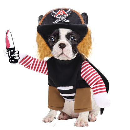 Halloween Pirate Pet Costume Set - Cake Pops Parties