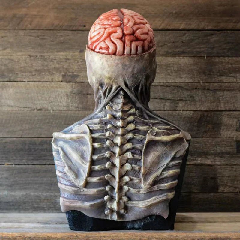 Realistic 3D Skull Mask with Movable Jaw - Cake Pops Parties