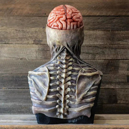 Realistic 3D Skull Mask with Movable Jaw - Cake Pops Parties