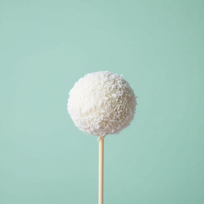White coconut ball on a stick against a light green background